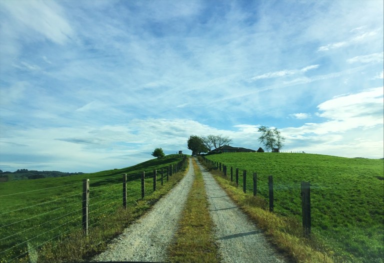 19880655-0558-4E6B-A7B4-A15D855BCA30